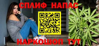 гашик Обь