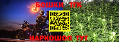 гашик Обь
