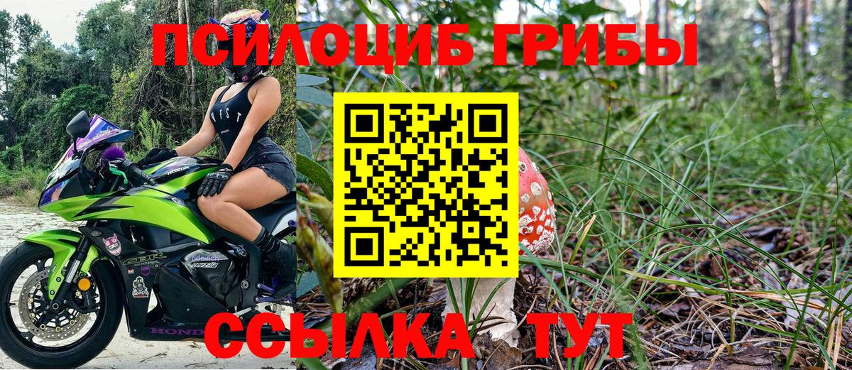 Псилоцибиновые грибы Magic Shrooms  Псилоцибиновые грибы Psilocybe  купить наркотики цена  Вход с VPN  Рыбинск 
