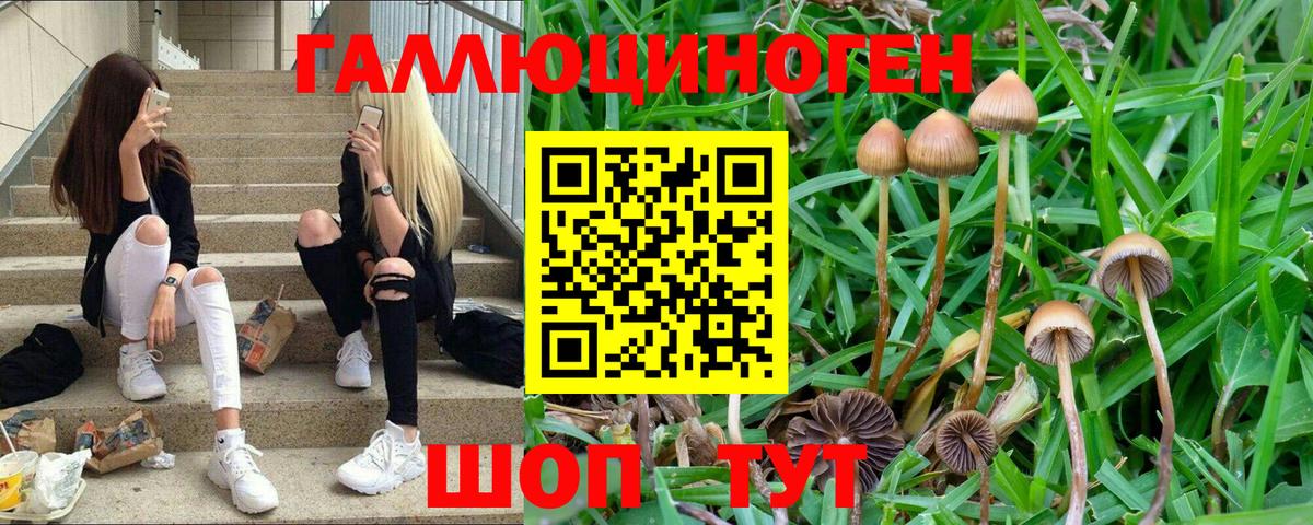 Галлюциногенные грибы мицелий Рыбинск
